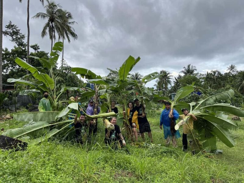 Koh Samui: Ethical Elephant Sanctuary Tour with Buffet Lunch - FAQ