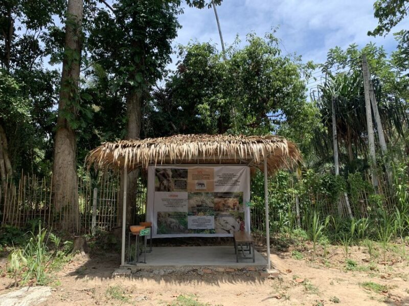 Koh Samui: Ethical Elephant Sanctuary Tour with Buffet Lunch - Final Thoughts
