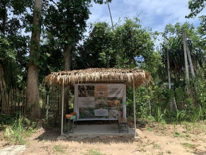 Koh Samui: Ethical Elephant Sanctuary Tour With Buffet Lunch - Weather Considerations