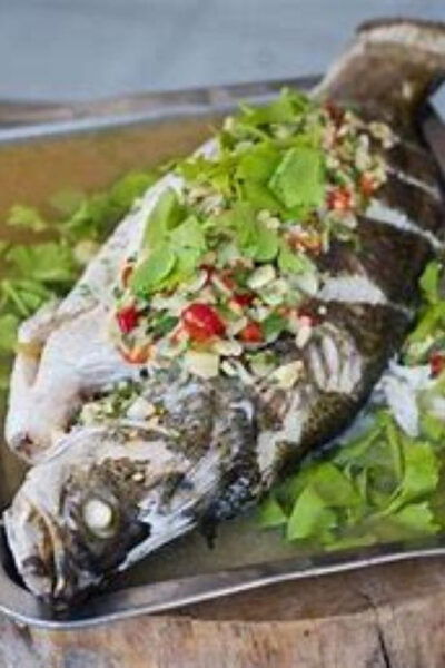 KOH SAMUI EXPERIENCE DAY FISHING - Local Attractions to Explore