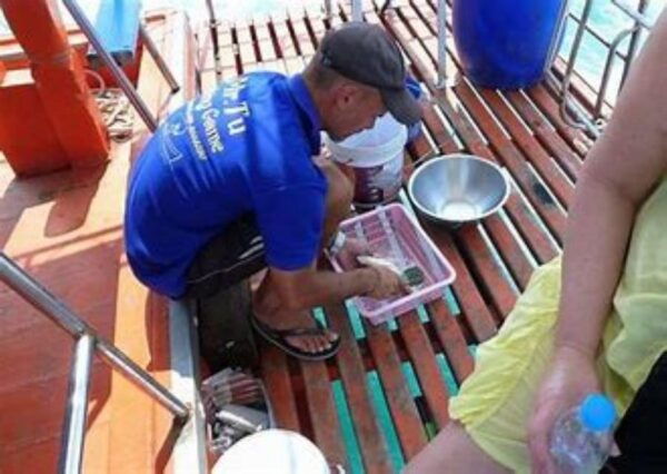 KOH SAMUI EXPERIENCE DAY FISHING - Questions You May Have