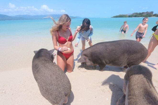 Koh Samui Explorer: Ultimate Jet Ski Adventure - Snorkeling and Other Inclusions