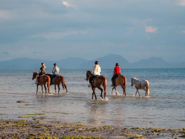 Koh Samui: Guided Horse Riding Tour on the Beach - Booking Details and Flexibility