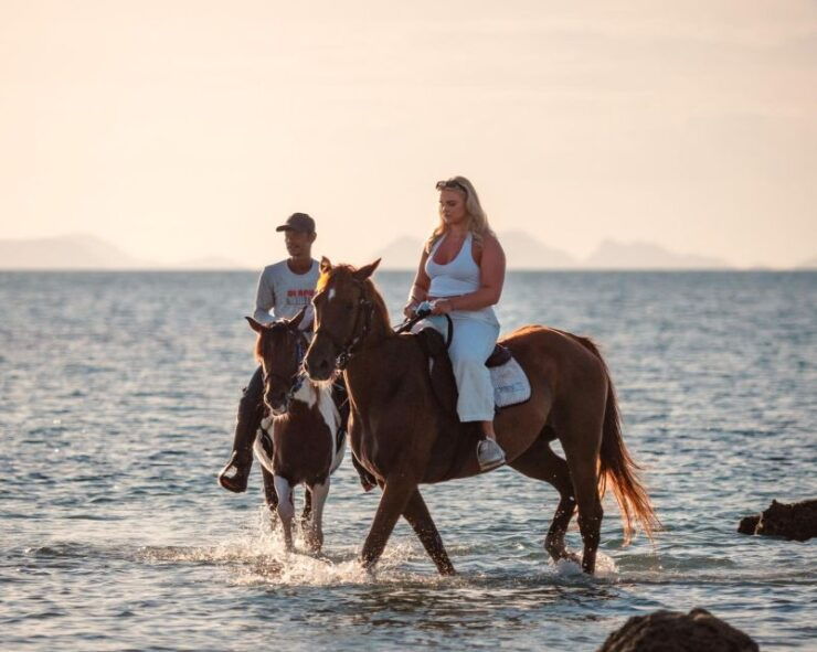 Koh Samui: Guided Horse Riding Tour on the Beach - Tour Highlights