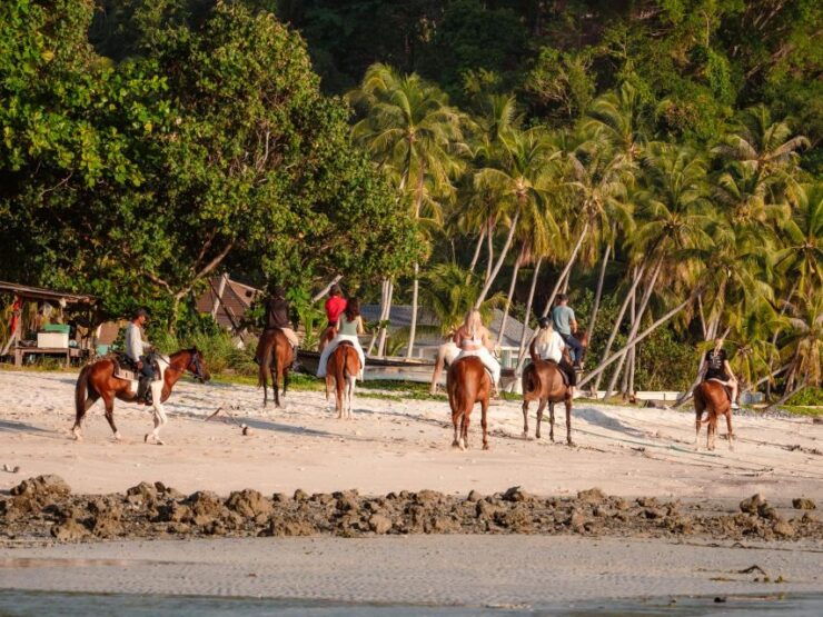 Koh Samui: Guided Horse Riding Tour on the Beach - Activity Details
