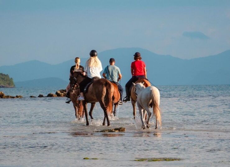 Koh Samui: Guided Horse Riding Tour on the Beach - Pickup Option