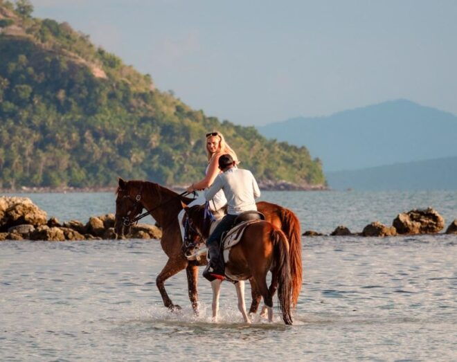 Koh Samui: Guided Horse Riding Tour on the Beach - Safety and Equipment