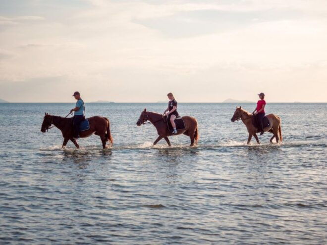 Koh Samui: Guided Horse Riding Tour on the Beach - Important Information