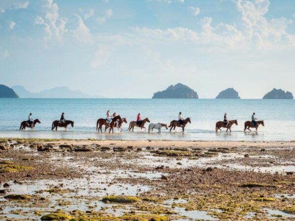 Koh Samui: Guided Horse Riding Tour on the Beach - Directions for the Tour