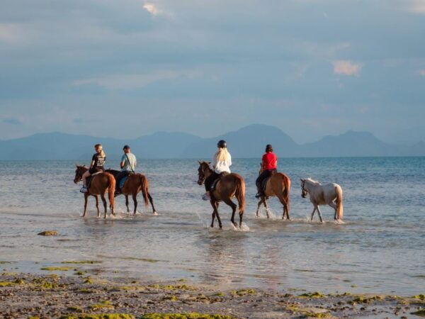 Koh Samui: Guided Horse Riding Tour on the Beach - Tips for a Memorable Experience