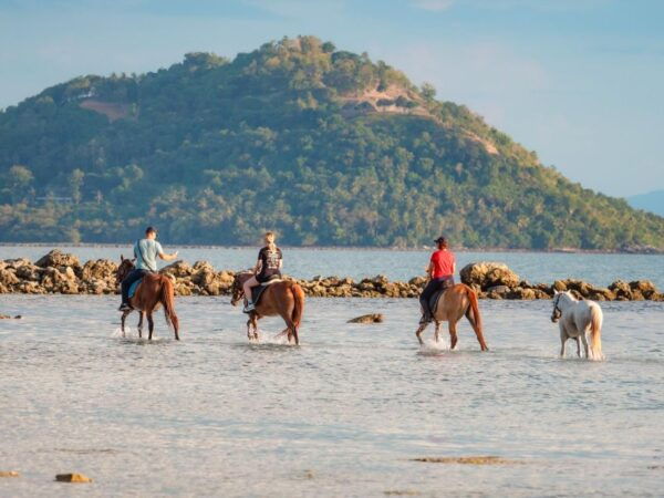 Koh Samui: Guided Horse Riding Tour on the Beach - Common Questions