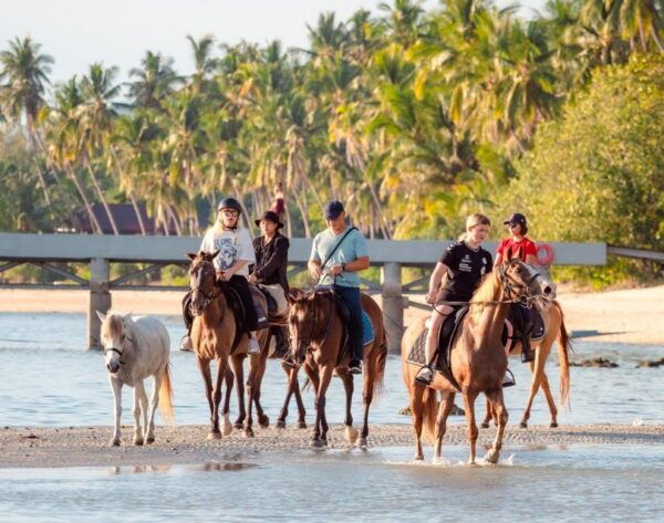 Koh Samui: Guided Horse Riding Tour on the Beach - The Sum Up