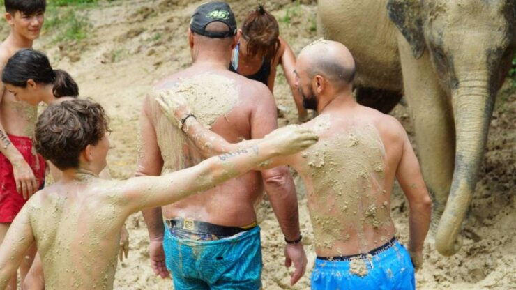 Koh Samui: Half Day Ethical Elephant Sanctuary With Mud Spa - Booking Details