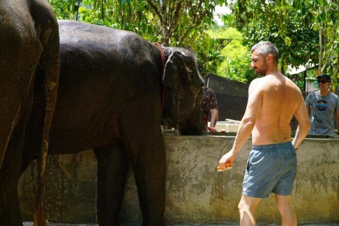 Koh Samui: Half Day Ethical Elephant Sanctuary With Mud Spa - Experience Highlights