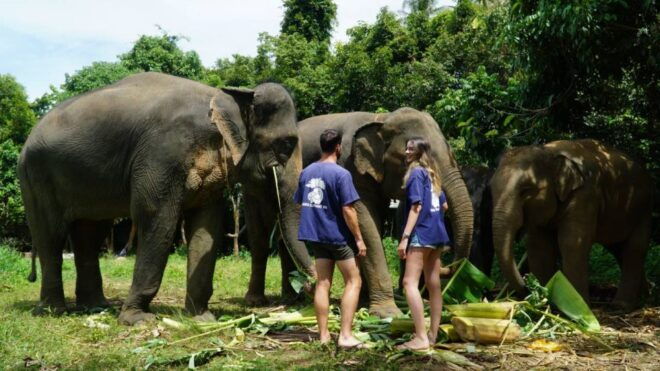 Koh Samui: Half Day Ethical Elephant Sanctuary With Mud Spa - More Activities and Farewell
