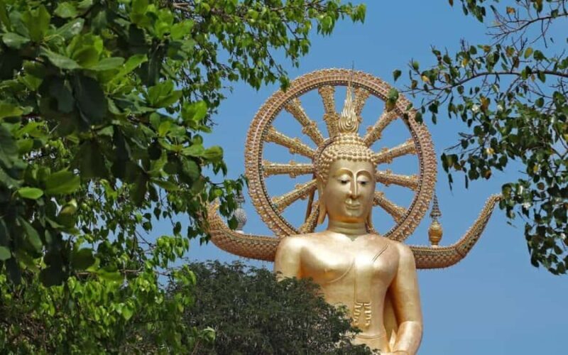 Koh Samui: Half-Day Highlights Tour with Hotel Transfers - A Deep Dive into the Koh Samui Highlights Tour