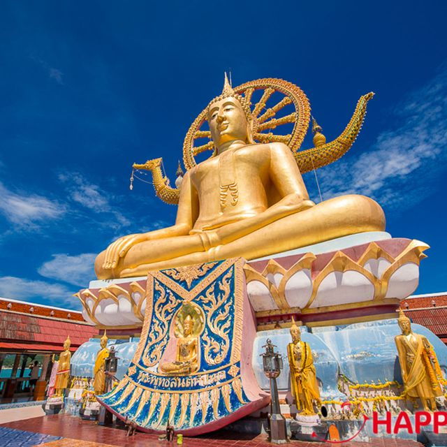Koh Samui: Half-Day Island Highlights Tour With Hotel Pickup - Reviews and Customer Feedback