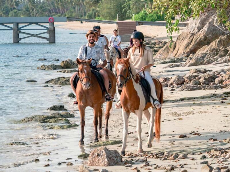 Koh Samui Horse Riding & Beach Trails - Discover Koh Samui Horse Riding & Beach Trails: A Practical Guide to an Authentic Thai Adventure