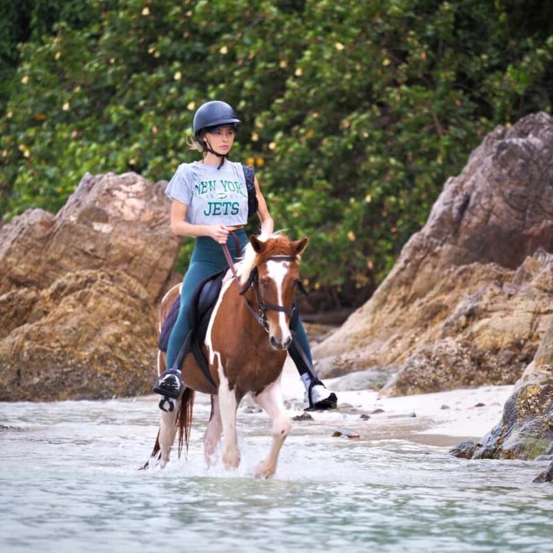 Koh Samui Horse Riding & Beach Trails - Who Is This Tour Best Suited For?
