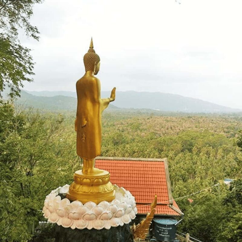 Koh Samui: Island Half Day Shore Excursion - Introduction to the Koh Samui Shore Excursion