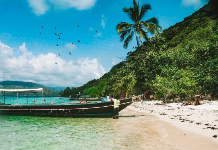 Koh Samui: Island Hopping Adventure in Coral and Pig Island - Customer Experience and Reviews