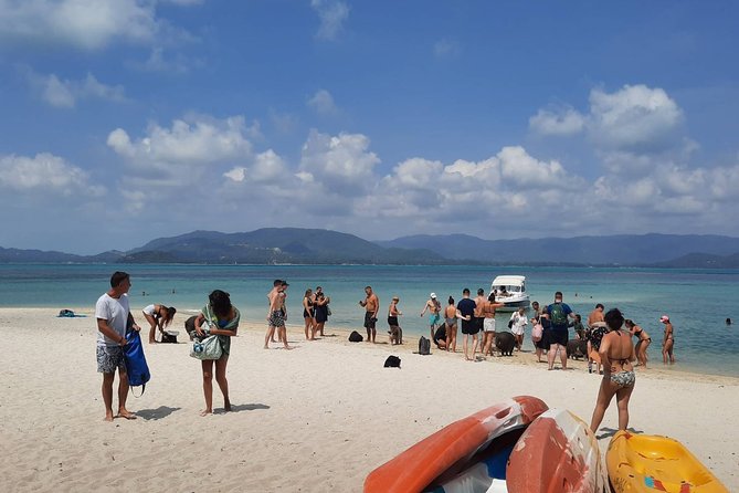 Koh Samui Islands Snorkeling Trip By Speedboat - Traveler Photos and Reviews