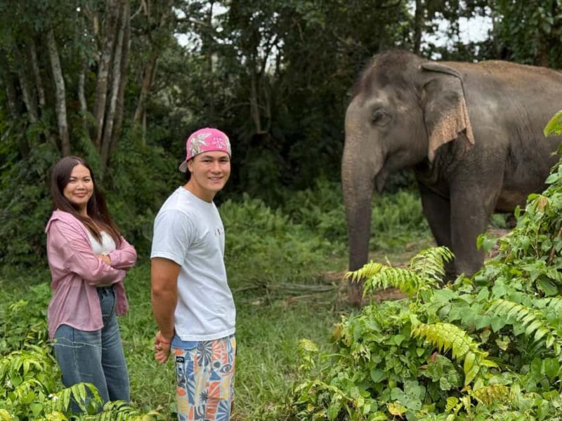 Koh Samui: Jungle Safari Jeep Tour with Elephants Sanctuary - Marveling at the Viewpoints and Temples