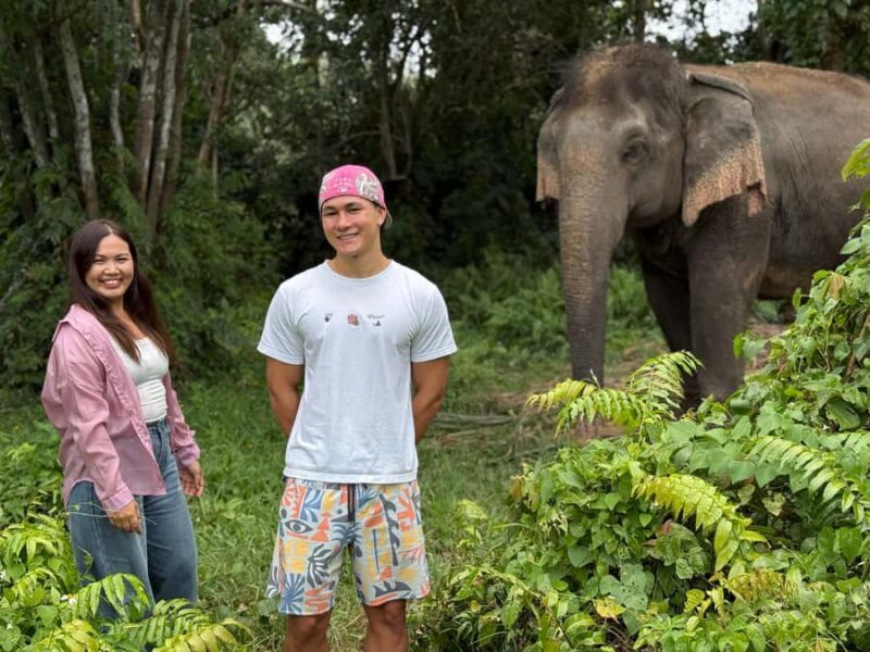 Koh Samui: Jungle Safari Jeep Tour with Elephants Sanctuary - Who Will Love This Tour?