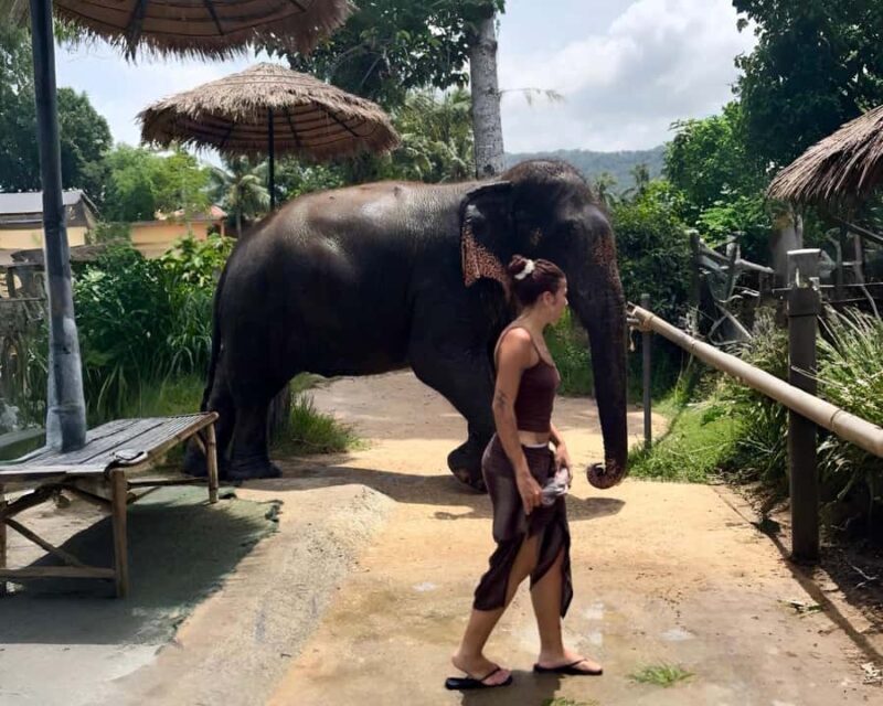 Koh Samui: Jungle Safari Jeep Tour with Elephants Sanctuary - FAQ