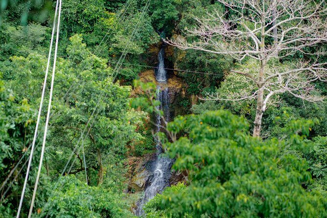 Koh Samui Jungle Zipline and Cafe with Waterfall Views - Final Thoughts: Is It Worth It?