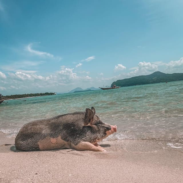 Koh Samui: Koh Madsum and Koh Tan by Private Longtail Boat. - Exclusions to Consider