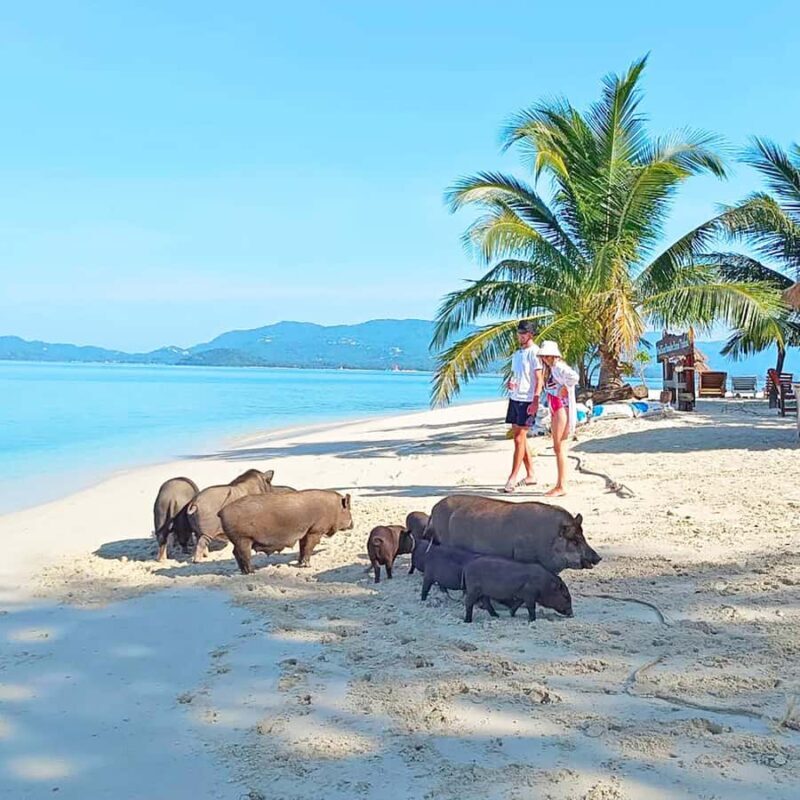 Koh Samui: Koh Mudsum & Koh Tan by Longtail Boat with Lunch - Good To Know