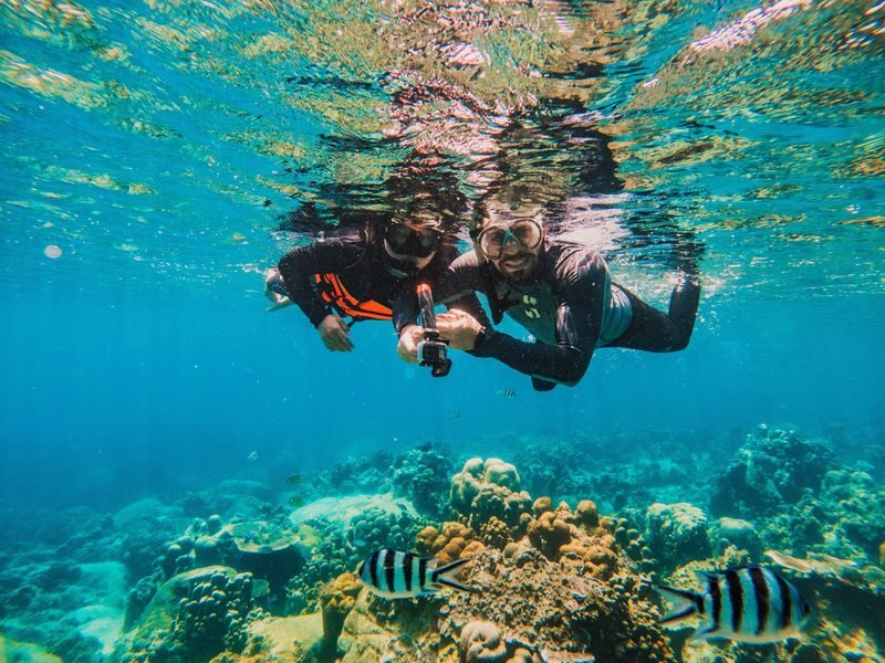 Koh Samui Koh Nangyuan & Koh Tao Full-Day Snorkeling Tour - What the price covers, and what it doesn’t