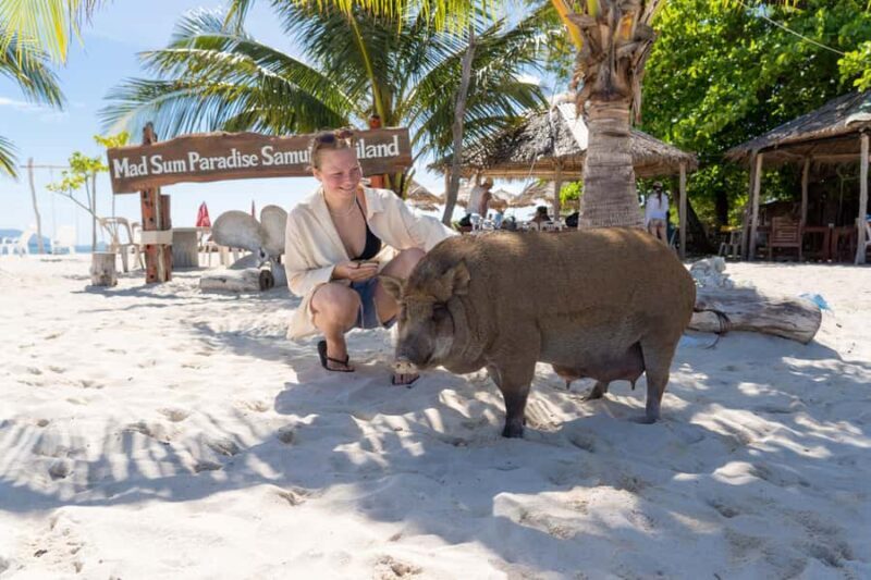 Koh Samui: Koh Tan & Pig Island Trip with Sunset Cruise - An In-Depth Look at the Koh Samui: Koh Tan & Pig Island Trip