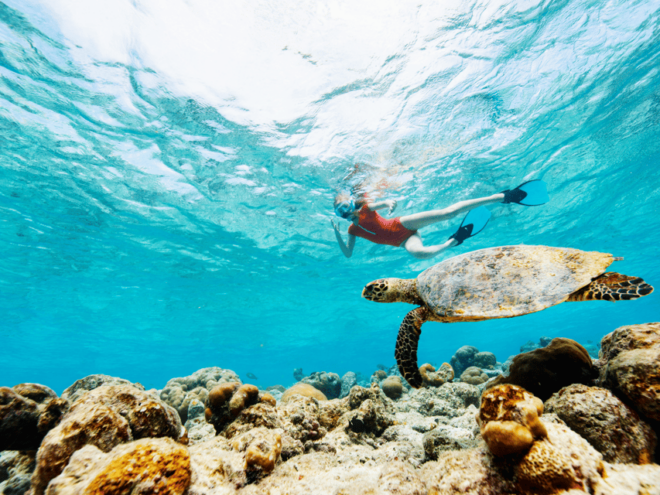Koh Samui: Koh Tao and Nangyuan Snorkeling Tour by Catamaran - Customer Reviews