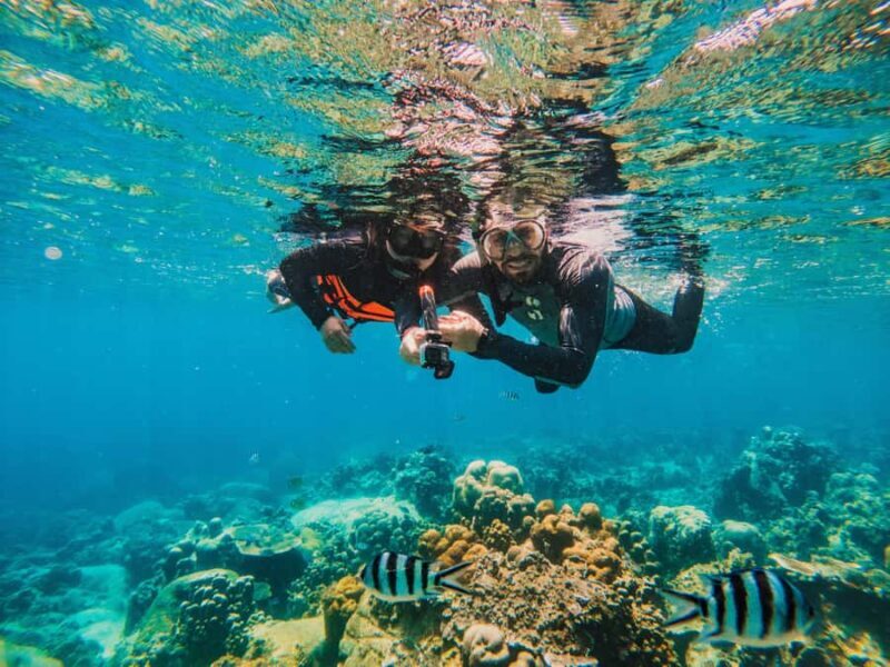 Koh Samui: Koh Tao and Nangyuan Snorkeling Tour with Lunch - Related Tours