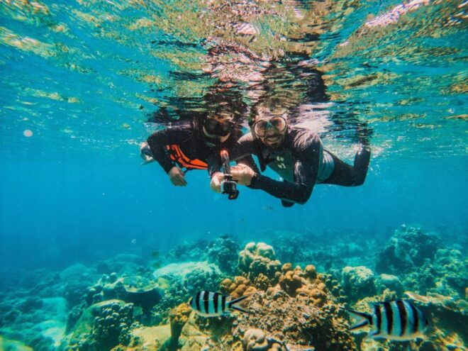 Koh Samui: Koh Tao and Nangyuan Snorkeling Tour With Lunch - Other Information