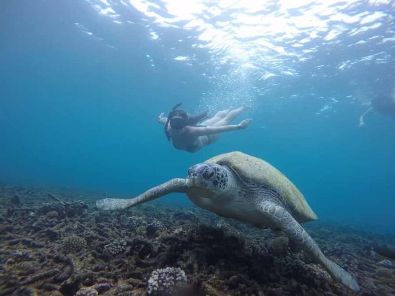 Koh Samui: Koh Tao & Koh Nang Yuan Snorkel Trip with Lunch - Good To Know