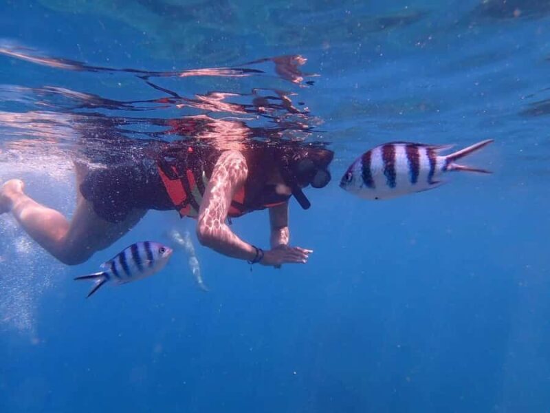 Koh Samui: Koh Tao & Koh Nang Yuan Snorkel Trip with Lunch - Final Thoughts: Who Will Love This Tour?