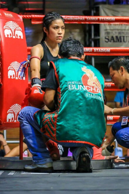 Koh Samui: Phetch Buncha Boxing Stadium Muay Thai Ticket - Experience Highlights