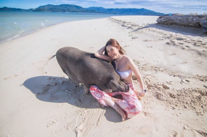 Koh Samui: Pig Island & Koh Tan Snorkeling by Speed boat - FAQ