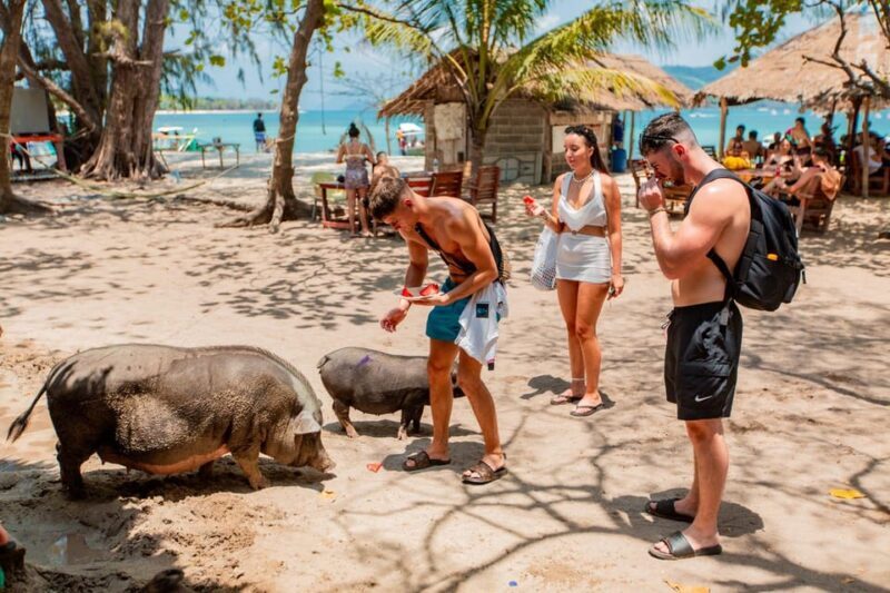 Koh Samui: Pig Island & Koh Tan Speedboat Tour with Lunch - Transportation and Logistics