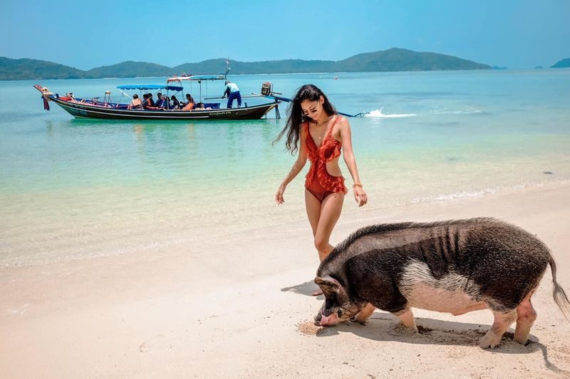 Koh Samui Pig Island One-Day Big Group Island Hopping Tour - The reliability concern deserves attention
