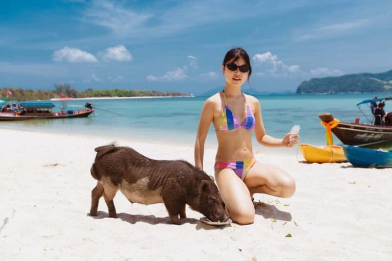 Koh Samui: Pig Island Private Longtail Boat Tour - Good To Know