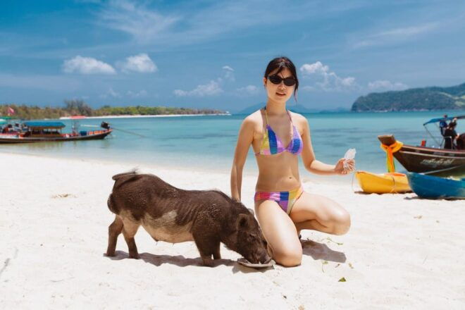 Koh Samui: Pig Island Private Longtail Boat Tour - Pickup Information