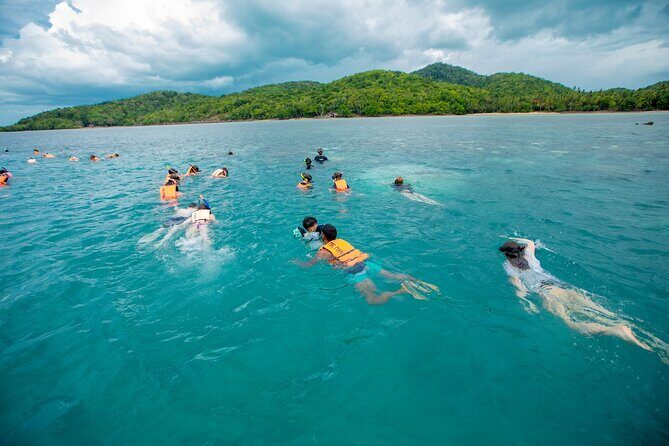 Koh Samui Pig Island Snorkeling by Private Longtail Boat - The Experience in Detail