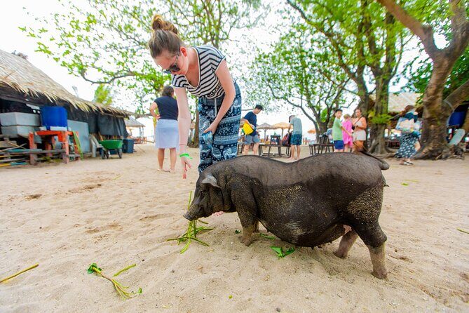Koh Samui Pig Island Snorkeling by Private Longtail Boat - The Experience: What to Expect from the Tour