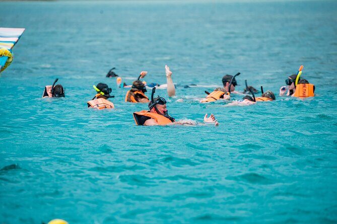 Koh Samui Pig Island Snorkeling by Private Longtail Boat - The Sum Up: Is This Tour Right for You?