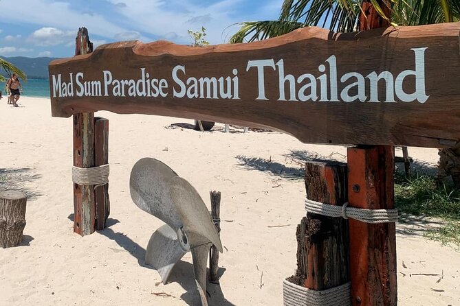 Koh Samui Pig Island Tour by Speedboat With Snorkeling - Pig Island Encounter and Interaction