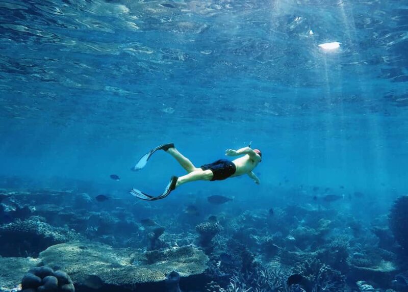 Koh Samui: Pink Dolphin, Pig Island, and Snorkeling Day Trip - Snorkeling at Koh Tan: Exploring Underwater Color